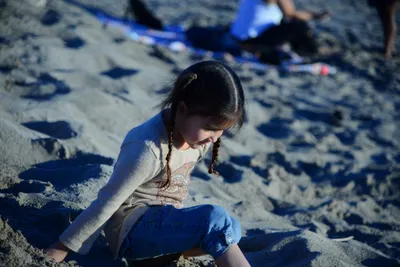 DSC_1186 (Large).JPG